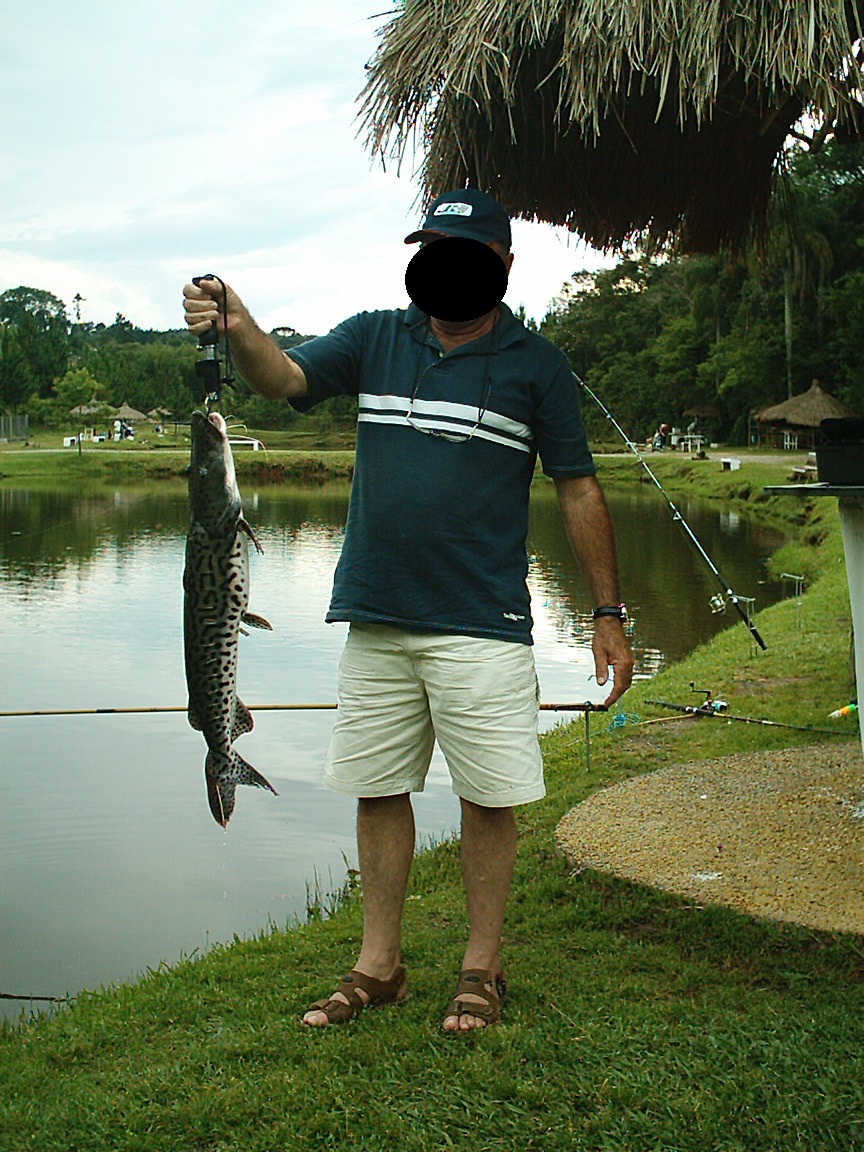 Pintado pequeno pescado no Lago 2